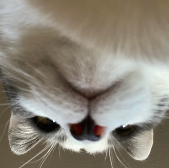 sammimelvin80
